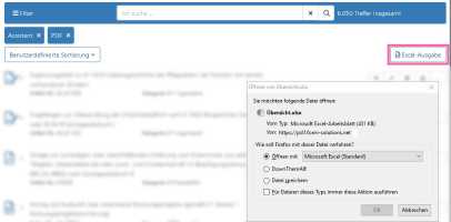 Ansicht der Excel-Ausgabe