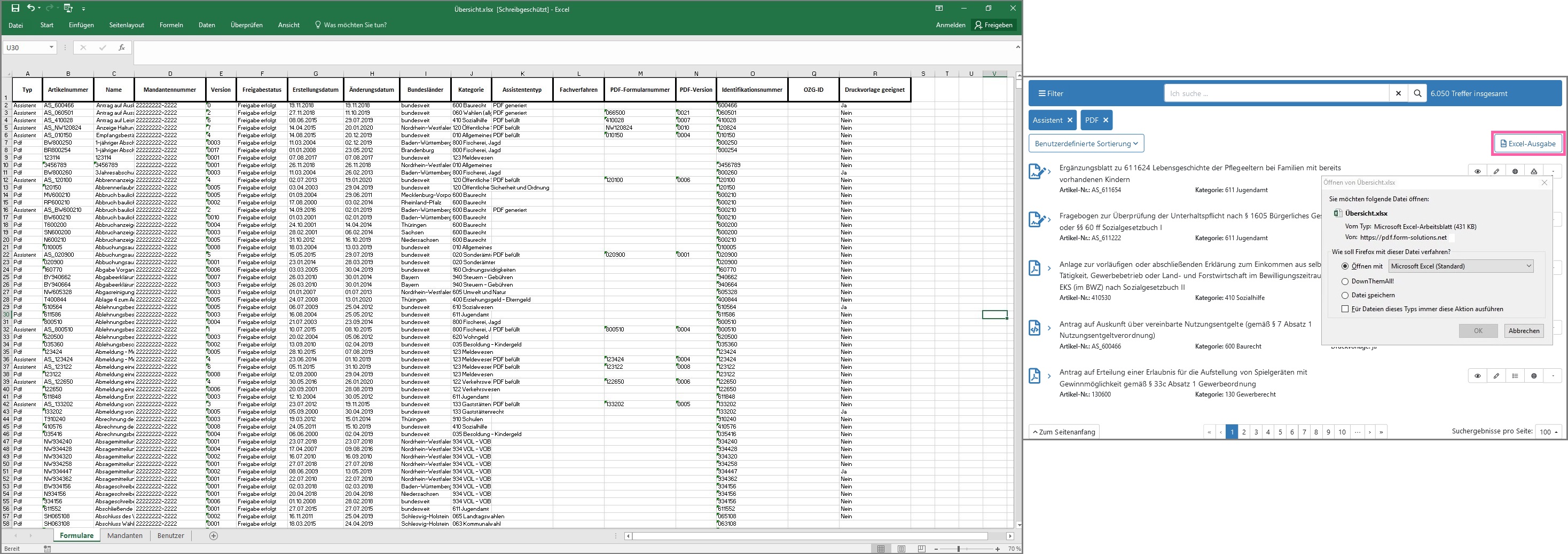 Ansicht der Excel-Ausgabe