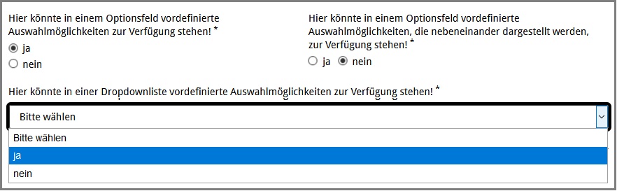 Ansicht der Komponente „Dropdown-Optionsfelder“