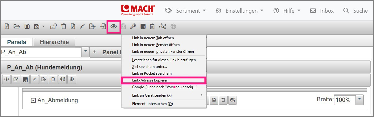 Schaltfläche sowie die Assistentenvorschau