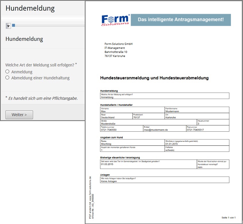 Assistent der ein generiertes PDF befüllt