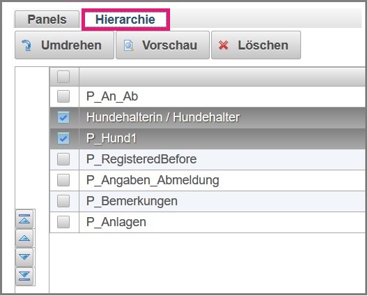 PanelHierarchieÜbersicht.jpg